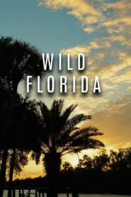 Seasons of the Wild: Season 1